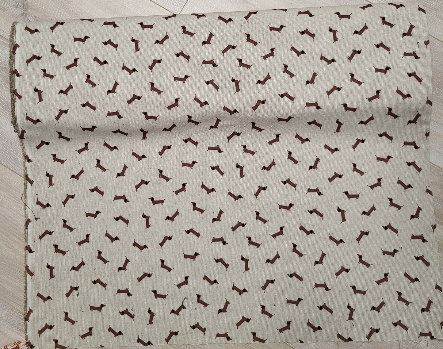 Canvas-Stoff-Dackel can