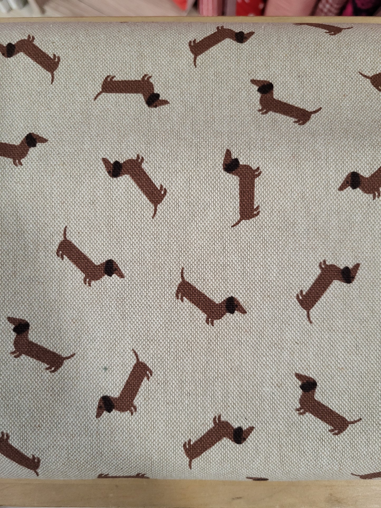 Canvas-Stoff-Dackel can